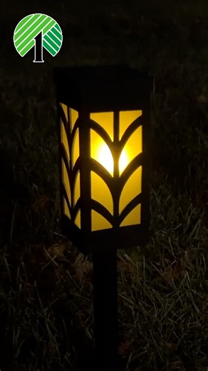 Give Your Yard a GLOW UP with these Solar Flame Lights from Dollar Tree! 🔥 #dollartree #dollartreefinds #deals #shopping #solarlights | The Deal Guy