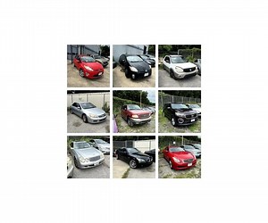 Norfolk Police Auction