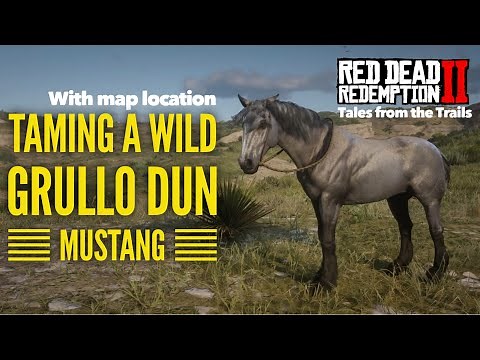 Red Dead Redemption 2: Catching a wild Grullo Dun Mustang | With Location