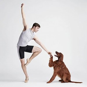 2.8M views · 68K reactions | Happy National Puppy Day!  4 years...