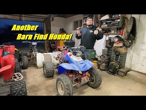 1991 Honda Trx 250x quad revival