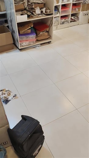 New Earrings Collection Launch for 2025