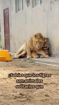 3 Cosas que NO SABÍAS hace 5 minutos 😱⏳ #Shorts #viral #5minute