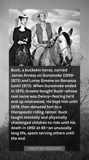 Two Legendary TV Cowboys Shared the Same Horse. Then One Bought Him to Save His Life.