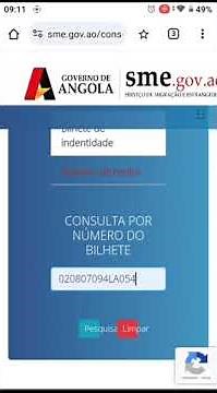 Como Consultar o Passaporte Angolano no site SME #angola #passaporte #portugal