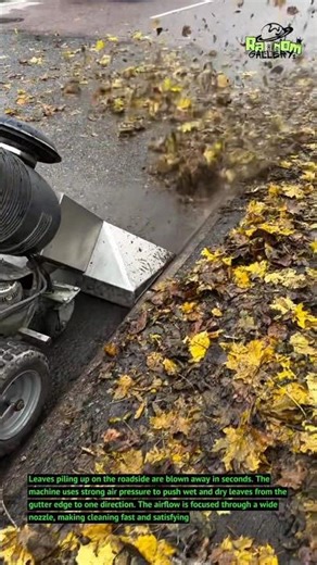 Automatic Leaf Road Cleaner – Wet Leaves Gone Instantly!