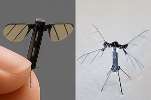 China Develops Mosquito-Sized Drone No Larger Than a Fingernail