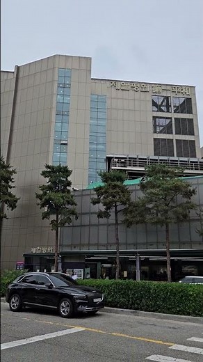 서울 패션의 메카! 제일평화시장 완전 정복 🛍️ 동대문 쇼핑 성지의 모든 것