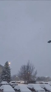 34K views · 177 reactions | As you can tell, it was a very spring-like day across Iowa, Illinois, Wisconsin, and Michigan today after several inches of snow fell藍☃️ : Ames, Iowa from David Foster #snow #ILwx #MIwx #iawx #wiwx #Spring | BAM Weather - BAMWX.com | Facebook