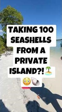 Taking 100 seashells from a PRIVATE ISLAND?! #seashelling #florida #islandlife