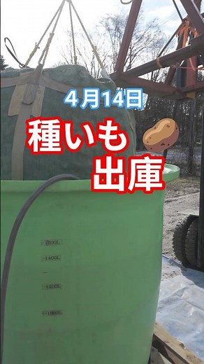 【美瑛のじゃがいも】北海道美瑛水沢地区種イモ出庫作業 #北海道#美瑛#じゃがいも#農業#農作業#automobile #tractor #farming #farmingwork
