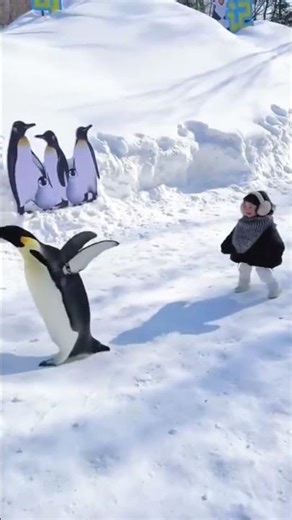 The size of an Emperor penguin /Toddler for scale #penguin #pets