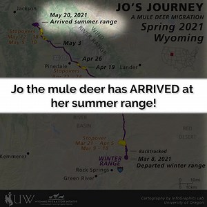8.3K views · 272 reactions | JO THE MULE DEER HAS ARRIVED ON HER...