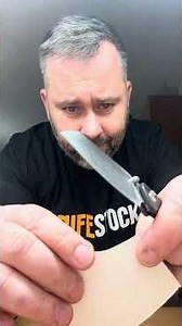 KNFS-Bestechman-Cicadas-Wing