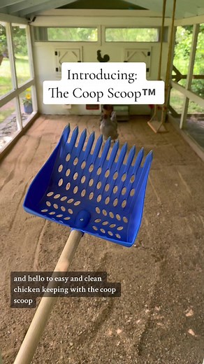 Introducing The Coop Scoop™️: The Perfect Tool for Chicken Coop Cleaning