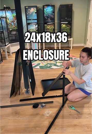 Creating the Perfect Enclosure for Dubia Roaches