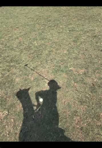 Mastering Polo: Tips and Techniques for Beginners