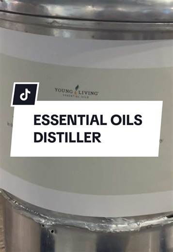 Behind the making of essential oils. A replica of the second distiller built by Gary Young of Young Living Essential Oils. Can you make your own essential oils at home? Of course! But why would I when I can get the best from Young Living. Did you know that it takes about 10kg of organic rose petals to get only 5ml of rose essential oil? 🌹😅 #BestEssentialOil #MakeYourOwn #creatorsearchinsights