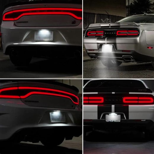 OEM 6000K LED Reverse License Number Plate Light for Dodge Charger Challenger Chrysler 300 Pacifica Voyager Tag Reflector White