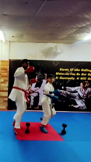 Fastest Karate Punch &Kick 🥋🔥#Shorts speed and power #shorts #karate #martialarts #kick #punch