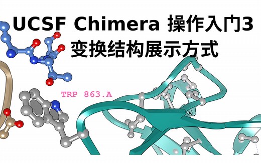 UCSF Chimera -作图入门【3】显示/隐藏/染色/变换结构展示方式