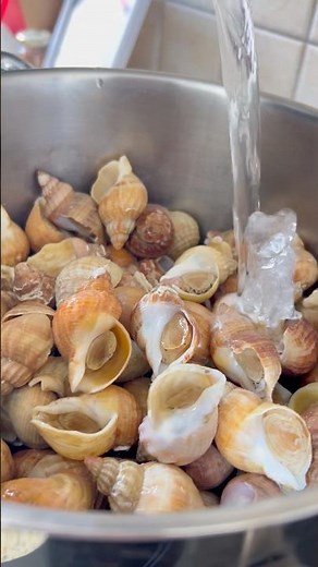 How the French Cook BULOTS Without Making Them Rubbery 🐚🇫🇷
