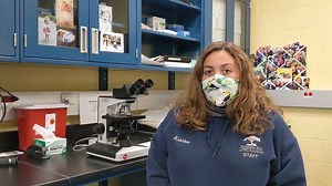 4.6K views · 164 reactions | Happy National Veterinary Technician Week! This week is dedicated to celebrating, recognizing, and promoting the incredible veterinary technicians both here at the Zoo and around the globe. Thank you for all you do! #NVTW2020 | Pittsburgh Zoo & Aquarium | Facebook