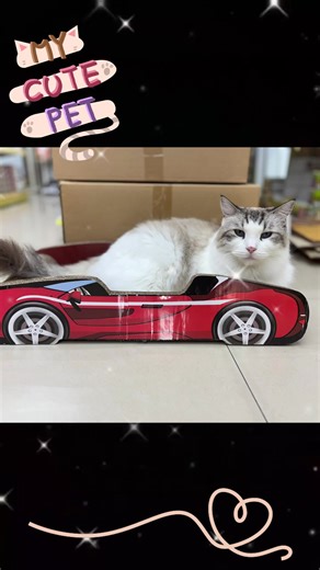 #超跑 #寵物 #貓抓板 #布偶猫 #貓咪