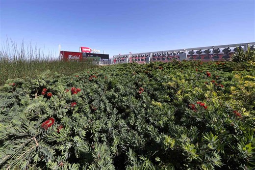 This Year’s Super Bowl Has a Secret MVP: a 7,500-Square-Foot Organic Rooftop Garden Hidden Inside the Stadium
