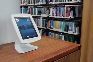 Borrowing and access