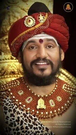 Why Schools Don’t Teach the 5th Dimension