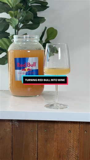 Turning Red Bull into Mead: A Unique Fermentation Experiment