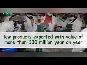 WTPO18 award winner: Nigerian Export Promotion Council