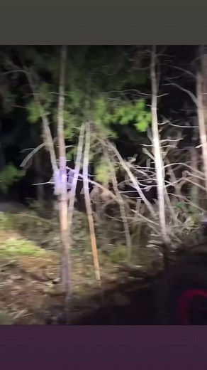 15K views · 166 reactions | @superatv_com 粒 Cleaning up trails with @koltgene in his #CanAmDefender!  The weekend is here!  #LetsRide #TerminatorTires ....#satvnation #canam #defender #satvtires #terminators #koltgene #swamp #defenderlonestar #4wheeling #floridaman #letsride #mudding #offroad #offroading #rollcage #satvsuspension #satv #hogwallermudbog | UTV Fails | Facebook