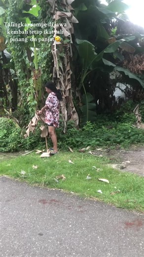 Kisah Seru dari Papua: Cerita Kehidupan di Serui