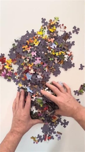 Scrunch! Springbok Puzzles "Gnome Worries Bee Happy" #jigsaw