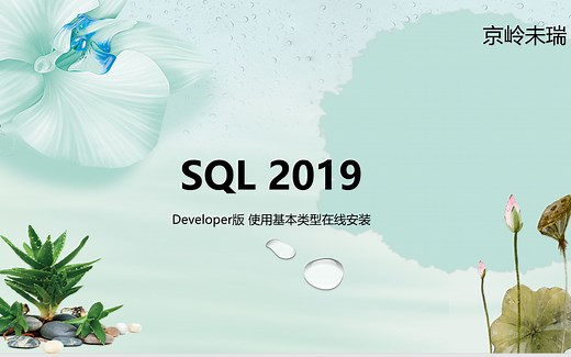SQL Server 2019 Developer 安装