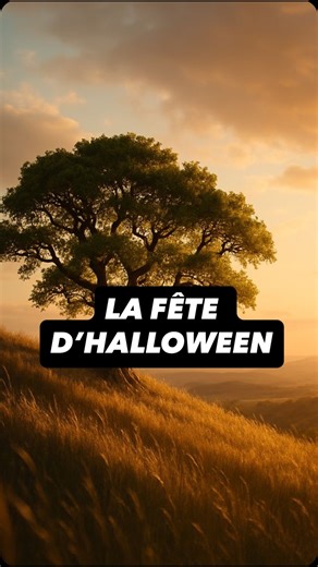 La fête d’Halloween #france #halloween #fête #usa | Tdf Junior