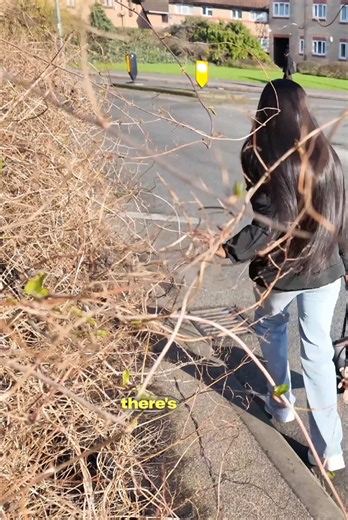 Nature makes this busy junction DANGEROUS! Forcing pedestrians into the road with car zipping past constantly. So let’s clean it up! Do you know somewhere like this that could use our help? #givingbacktothecommunity #diy #clean