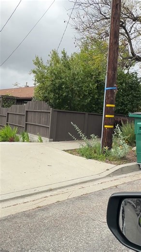 Incredible Bear Encounter in Sierra Madre, California!