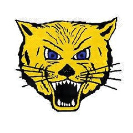 Ace Everson Game Report: vs Lakeside Lutheran