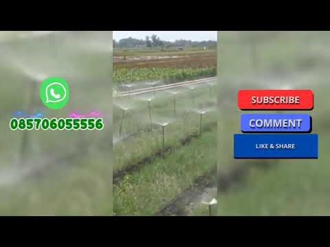 🔴 Technology Pertanian Sprinkler Sprayer Siram Bawang Merah Order 085706055556