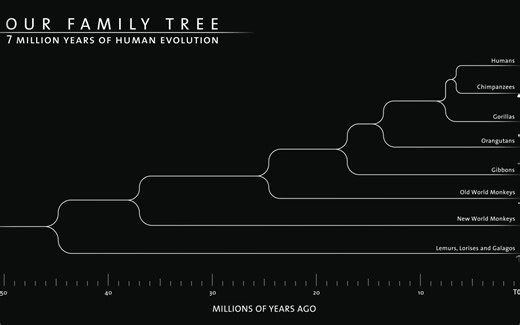 Seven Million Years of Human Evolution (700万年的人类演化)