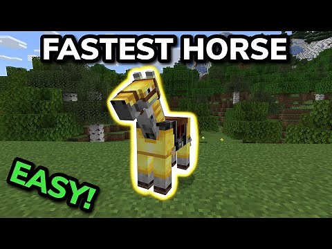 HOW TO GET THE FASTEST HORSE in Minecraft Bedrock (MCPE/Xbox/PS4/Nintendo Switch/PC)