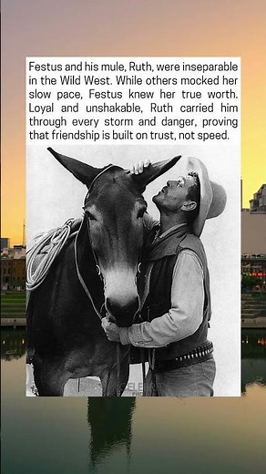 Festus And His Mule Ruth In The Wild West