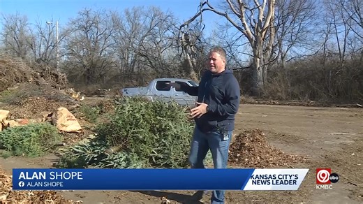 Time to recycle that Christmas Tree?? | Alan Shope KMBC | Facebook