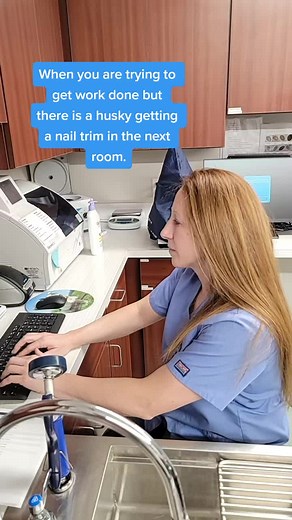 DrAmandaDVM on TikTok