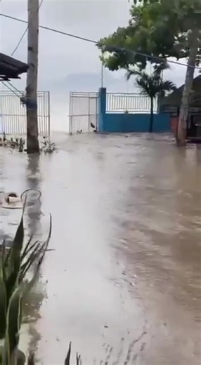 BAGYONG 'UWAN' NAGDALA OG DAGKONG BALUD SA DINGALAN, AURORA WATCH: Powerful waves crash along the coast of Dingalan, Aurora, driven by strong winds and heavy rains from Super Typhoon #UwanPH. Residents are urged to stay in safe areas and avoid the shoreline. 🎥 Sherwin Taay, provincial administrator Latest Cebu and more updates at proudbisayabai.ph | Proud Bisaya Bai