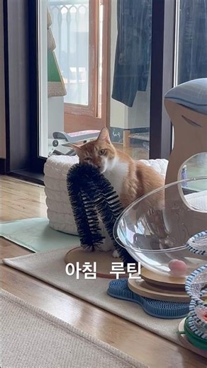 아그작 아그작 눈 뜨면 하는 일~~ 🥰🥰🥰