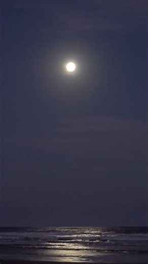 Ocean Waves Under Moonlight 🌙 Relaxing Night Sounds for Sleep